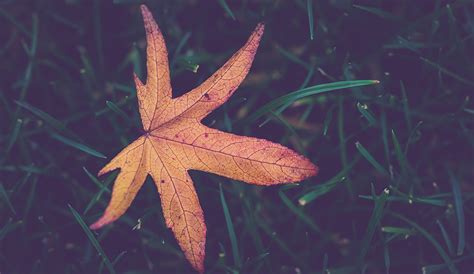 Fall Into Routine 5 Ways To Have A More Productive Autumn