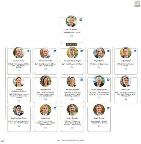 Nestle Org Chart Editable Organizational Chart Template On Creately