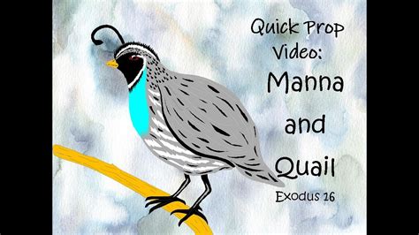 Quick Prop Video Manna And Quail Exodus 16 Youtube