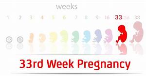 33rd Week Pregnancy Symptoms Baby Development And Bodily Changes