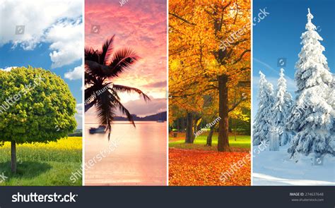 Four Seasons Collage Several Images Beautiful Stock Photo 274637648