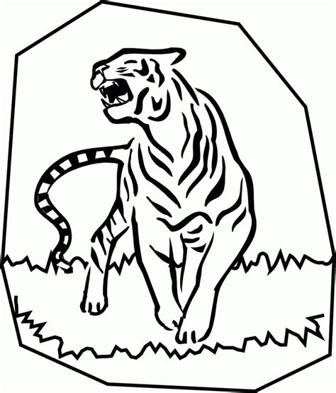 Print as many as you like and come back regularly to get even more. Free Printable Tiger Coloring Pages For Kids