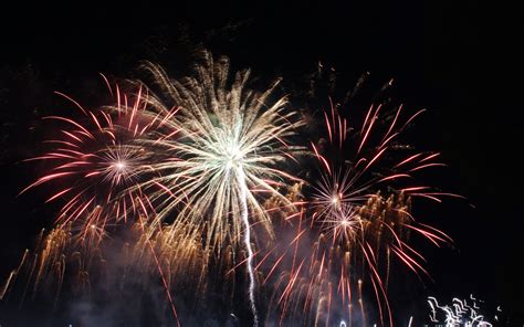 You can see how to get to flowers by julie on our website. Hagley Fireworks 2012 | Fireworks, Flowers, Plants