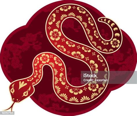 Chinese New Year Snake Art向量圖形及更多蛇圖片 蛇 2013 一朵花 Istock