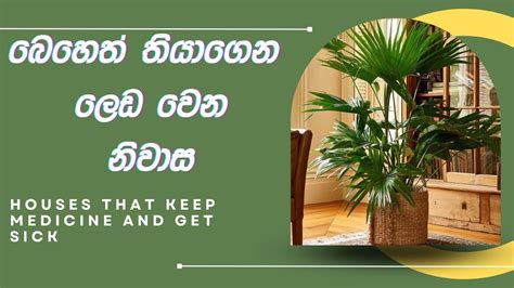 Ape Gedara 222 බෙහෙත් තියාගෙන ලෙඩ වෙන නිවාස Houses That Keep Medicine