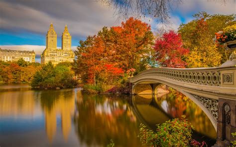 桌布 紐約，中央公園，橋樑，河，樹，秋天 1920x1200 Hd 高清桌布 圖片 照片