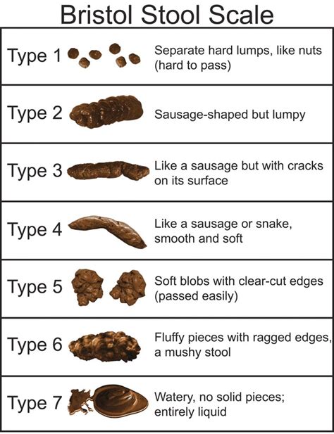 Bristol Stool Chart Black And White