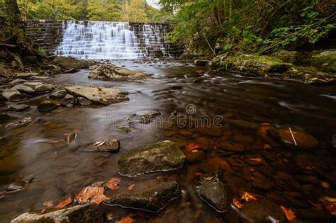 Beautiful River Cascade In A Forest Stock Image Image Of Flowing