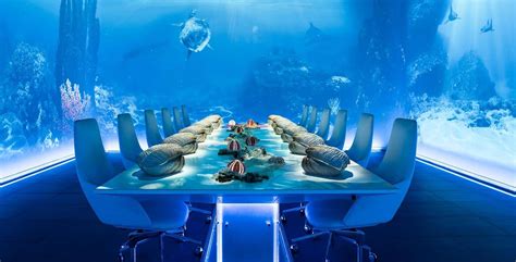 Brooks october 2, 2019 let's start our list of the best film schools in the u.s. The 20 Most Expensive Restaurants in the World 2019