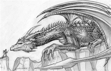 One of my dragon drawings. Cool Dragon Sketches at PaintingValley.com | Explore collection of Cool Dragon Sketches