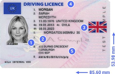 How To Spot A Fake Id And Protect Your Business From It Idenfy