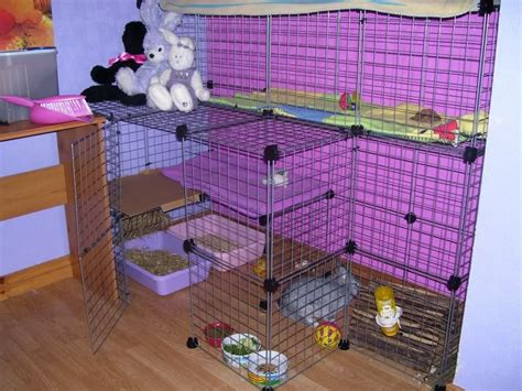 Pin On Rabbit Housing Ideas Indoors