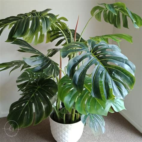 Check spelling or type a new query. Artificial Monstera Deliciosa Plant | Plants, Fake plants ...