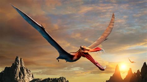 Real Life Dragon Dominated Australian Skies 110 Million Years Ago Live Science