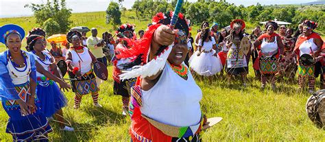 I am delighted to inform you that we have over 9000 followers and. Traditional Zulu Wedding with Khanyisani and Celiwe - Photography Durban | Videography Durban ...