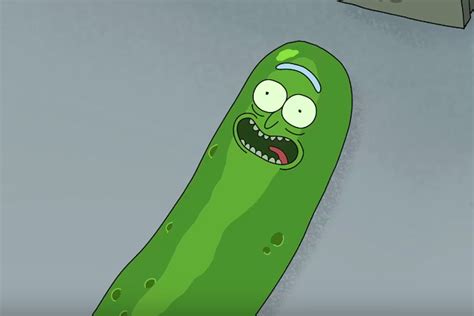 Pickle Rick is already everyone’s favorite character from Rick and