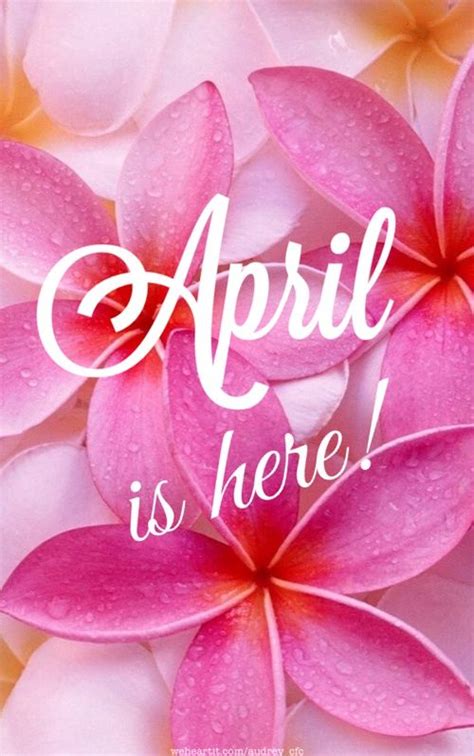 Pin By Marion2 On Days Months Seasons Etc April Is Here Hello