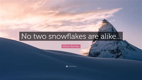 Wilson Bentley Quote No Two Snowflakes Are Alike