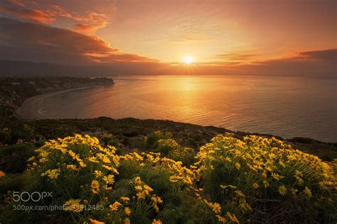 New On 500px Point Dune In Bloom By Alanhd Chae H Bae Blog