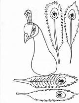 Peacock Coloring Feathers sketch template