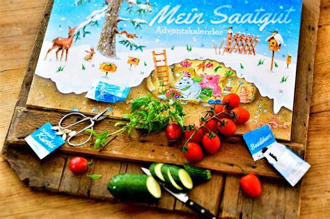 We did not find results for: https://www.amazon.de/Saatgut-Adventskalender-Garten-T%C3 ...