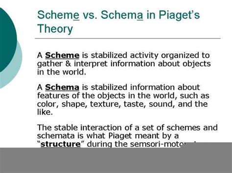 Schema Theory Piaget Free Images At Clker Com Vector Clip Art