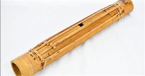 Guoto yaitu alat musik yang populer di daerah papua barat yang dapat keluarkan nada type kordofon, langkah memainkannya yakni dengan menuai dibagian senarnya. Alat Musik Tradisional Papua Barat Guoto