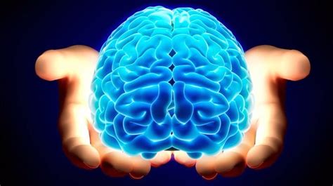 20 نصيحة وحقيقة عن دماغ الإنسان شغل عقلك
