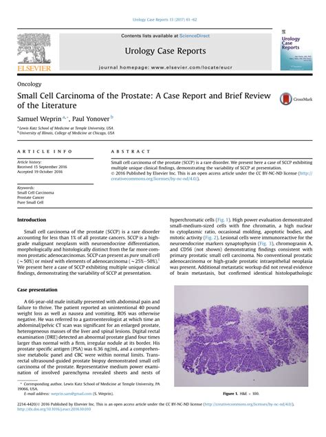 Pdf Small Cell Carcinoma Of The Prostate A Case Report And Brief