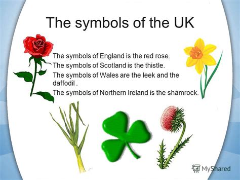 The daffodil is a relatively new addendum but the leek has been around for hundreds. Презентация на тему: "Factfile Official name of the ...