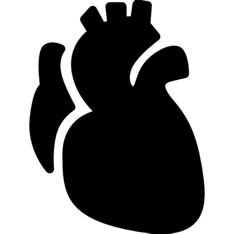 Corazón Anatómico Iconos Gratis De Médico