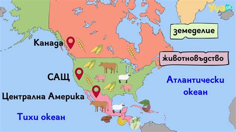 Интересно Стопанството на Северна Америка География 6 клас
