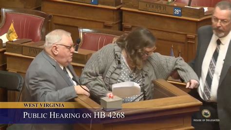 Woman Removed From Wva House Of Delegates Hearing After Listing