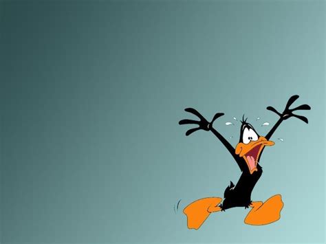 Daffy Duck Wallpapers Wallpaper Cave