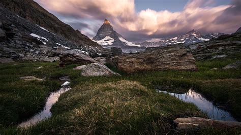 Fondos De Pantalla 2560x1440 Montañas Suiza Matterhorn Hierba Roca