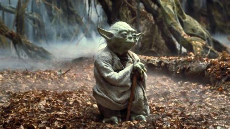 Star Wars Yoda Yoda Star Wars Episode V The Empire Strikes Back