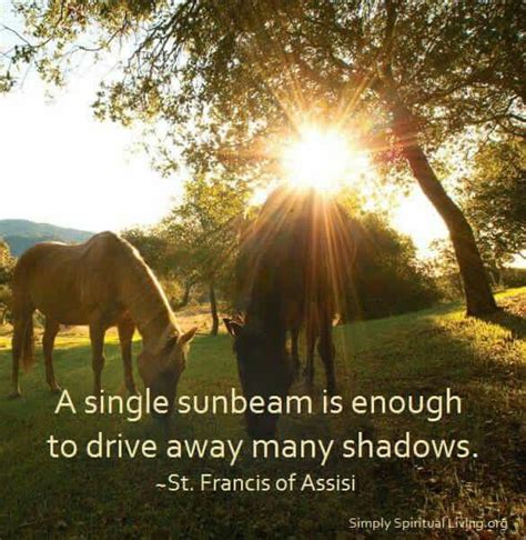 A Single Sunbeam Is Enough To Drive Away Many Shadows ~ St Francis Of