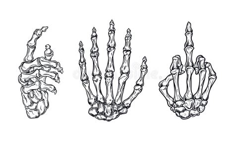 Hand Bone Set Vector Illustration Editable And Detailed Stock Vector