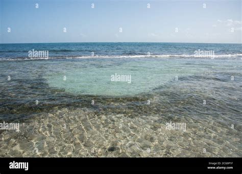 Caribbean Sea Water With Flowing Waves And Visible Fringe Reef Under A