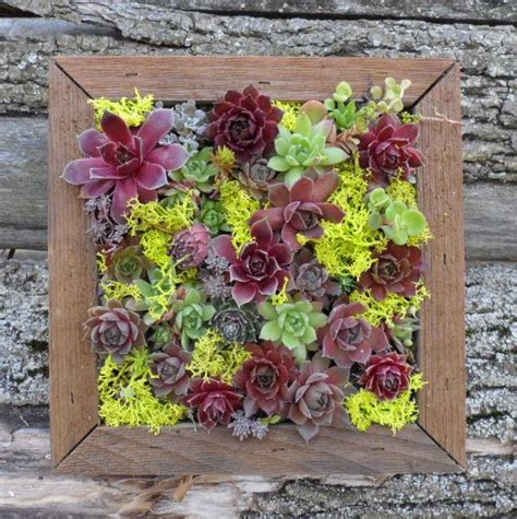 100 fun upcycled garden projects by alex mitchell. DIY Succulent Vertical Living Wall Kit 12 inch on Etsy ...