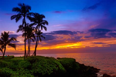 Tropical Beach Sunset Wayfarer