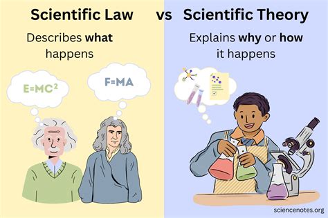 Whats The Difference Between A Scientific Law And Theory In Ted Ed My