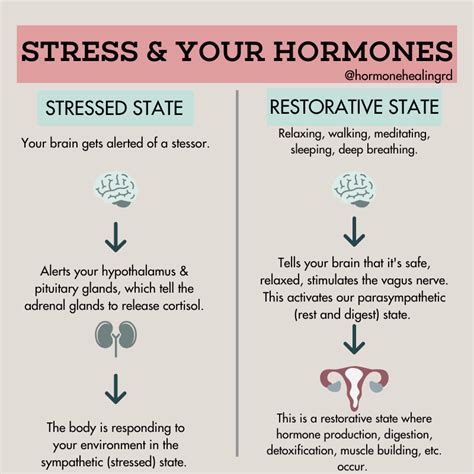 Stress Management And Pcos How Stress Affects Your Hormones