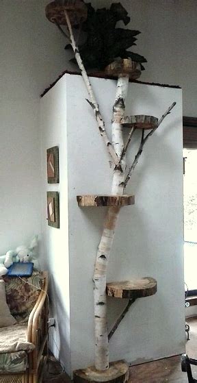 A wide variety of diy cat tree options are available to you, such as material, feature, and commercial buyer. Dishfunctional Designs: Cool Cat Houses For Cool Cats ...