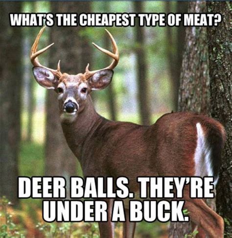 Pin By Kimberly Eiman On Hahhahahah Funny Deer Hunting Humor