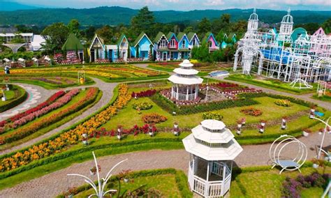 Taman Bunga Celosia Taman Bunga Cantik Bernuansa Eropa Di Semarang