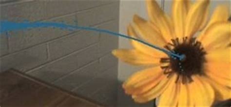 How To Make A Squirting Flower Practical Jokes Pranks Wonderhowto