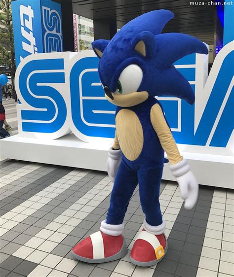 Sonic The Hedgehog Mascot Wiki Fandom