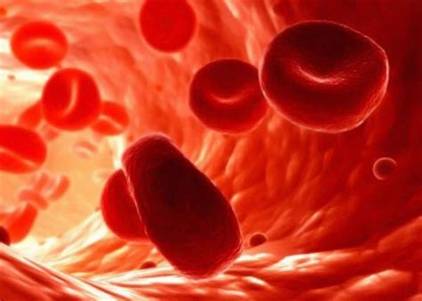 Anemia (hematies bajos): Síntomas y Causas - Demedicina.com