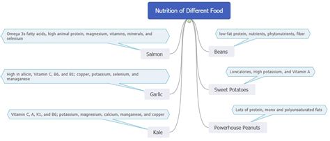 Top 10 Food Mind Map Examples Edrawmind